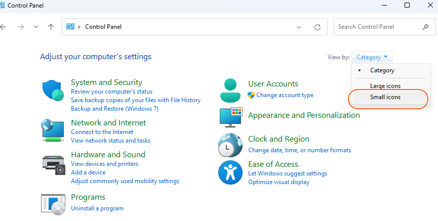 Control_panel_with_small_icon.png